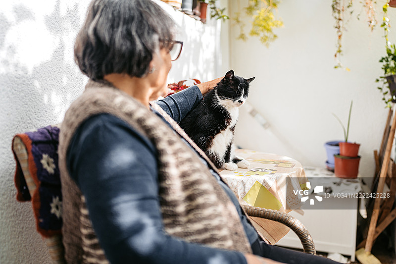 老年女性在家中的露台上抚摸她的黑猫图片素材