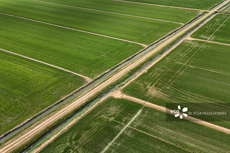 稻田间的小路俯视图图片素材