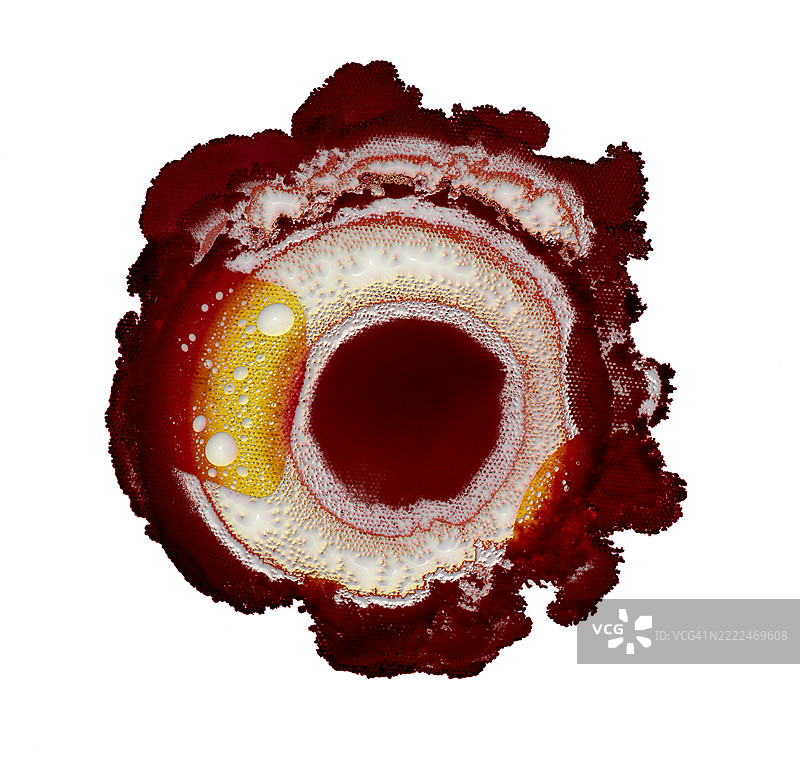 奇怪的红色液体分子，带有白色细胞形状的气泡，背景为白色。图片素材
