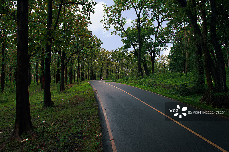 宁静的森林公路在晴朗的天空下，喀拉拉邦，印度图片素材