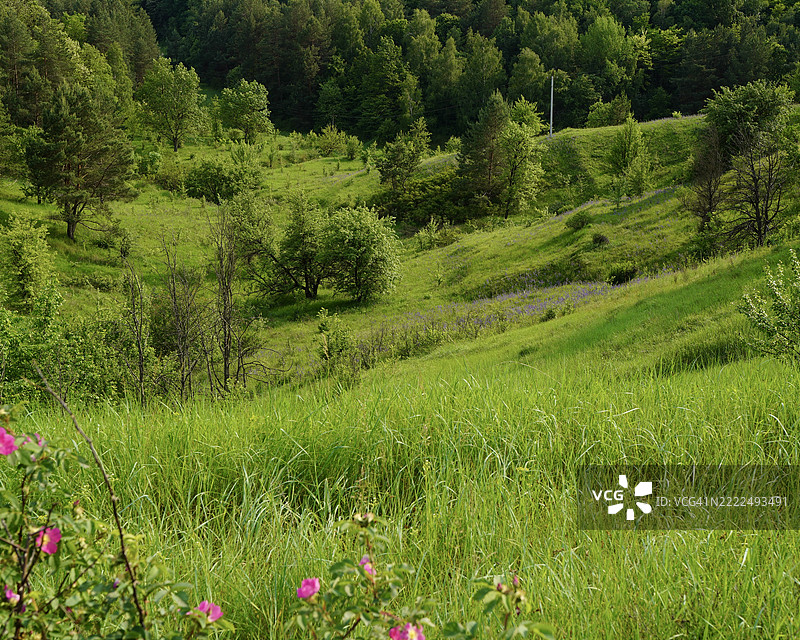 乌克兰基辅的田野风景图片素材