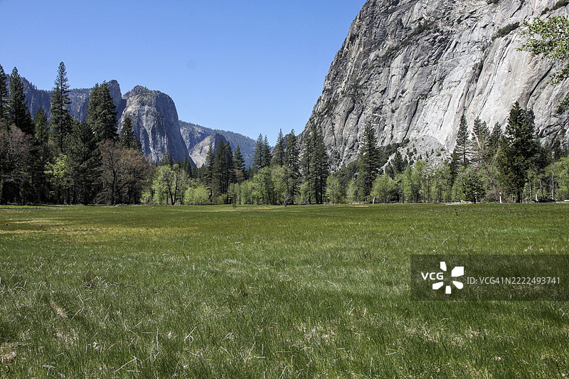 优美的田野景观与晴朗的天空，优胜美地国家公园，加利福尼亚州，美国图片素材