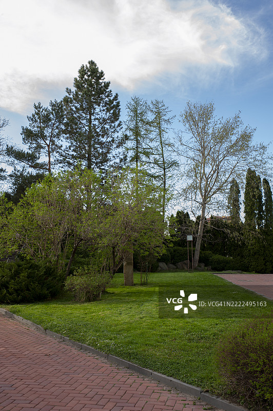 乌克兰的风景公园夏季景色，树木和灌木披上绿色的衣裳图片素材