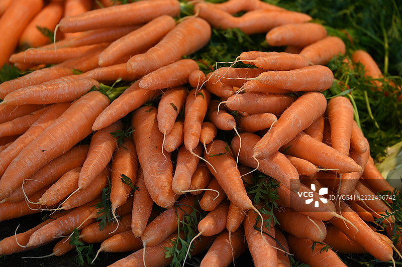 德国下萨克森州切尔的胡萝卜特写镜头图片素材