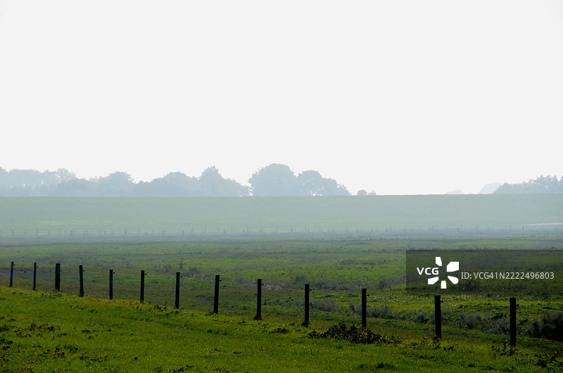 清澈天空下的田野美景，诺登，尼德萨克州，德国图片素材