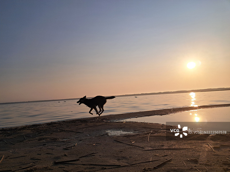 日落时分，乌克兰沃伦州卢茨克海滩上，男人的剪影在天空中行走。图片素材