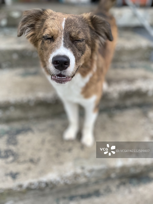 不要因为我美丽而恨我，温彻斯特，肯塔基州，美国，USA图片素材