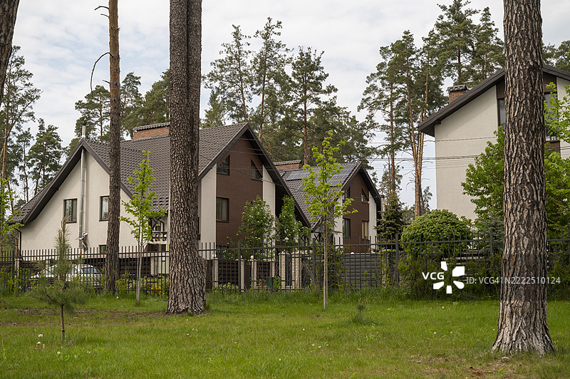 白色住宅建筑被松树林环绕图片素材