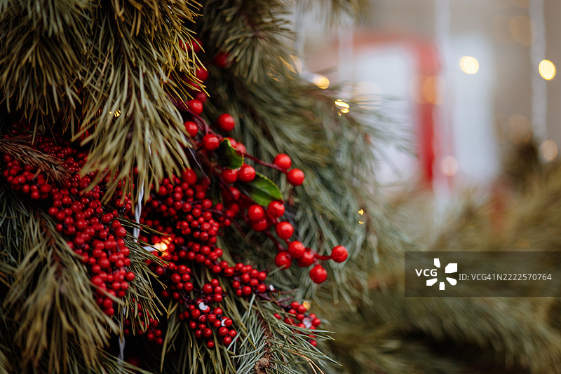 户外墙壁上挂着的圣诞松树花环，红色浆果的特写装饰。图片素材