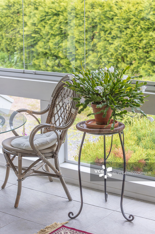 美丽夏日的理想露台上，花朵与藤椅，家庭花园 - 库存照片图片素材