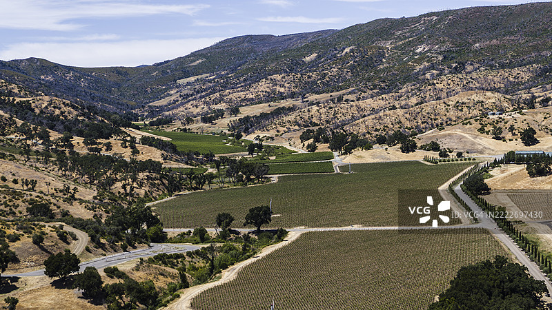 葡萄园坐落在山丘之间。加利福尼亚的纳帕谷酒庄被金色山脉环绕。图片素材