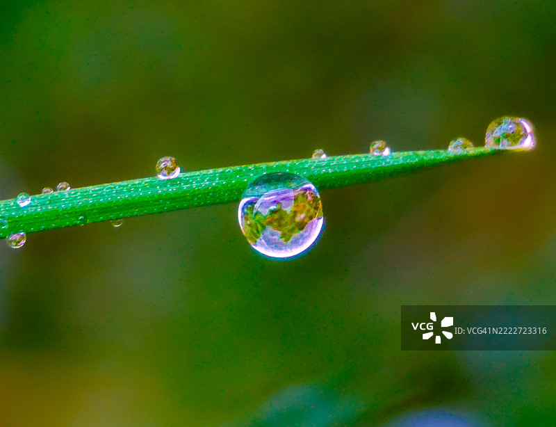 雨滴在草叶上的水珠，天气环境特写微距图片素材