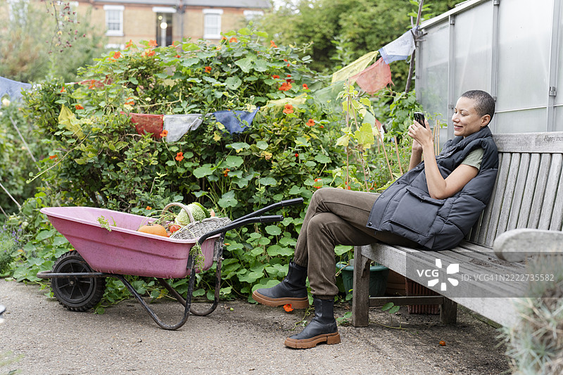 微笑的女性在菜园里使用智能手机图片素材