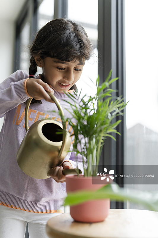小女孩在家里给植物浇水图片素材