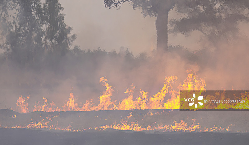 焚烧稻草以进行农业，背景是燃烧的稻草和照亮的烟雾云，气候变化、全球变暖、极端天气和全球沸腾的后果图片素材