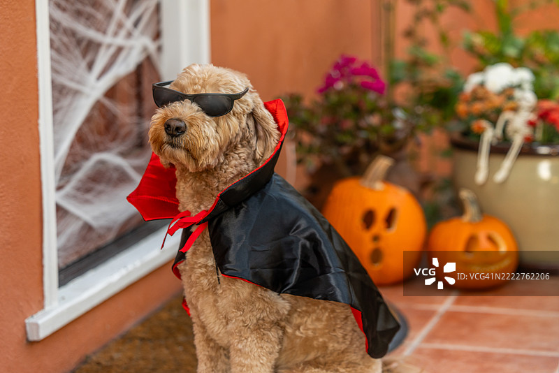 夜间的太阳镜图片素材