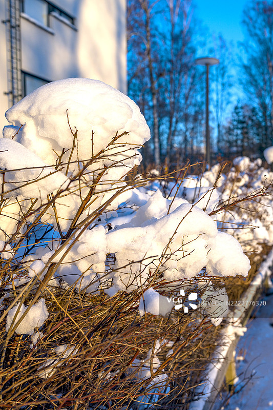 降雪后的积雪图片素材