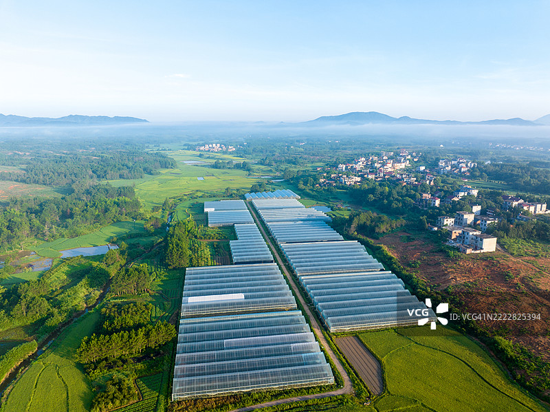 蔬菜温室的航拍摄影图片素材