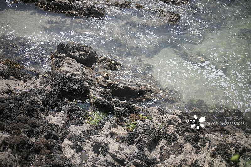 岩石和水中有藻类图片素材