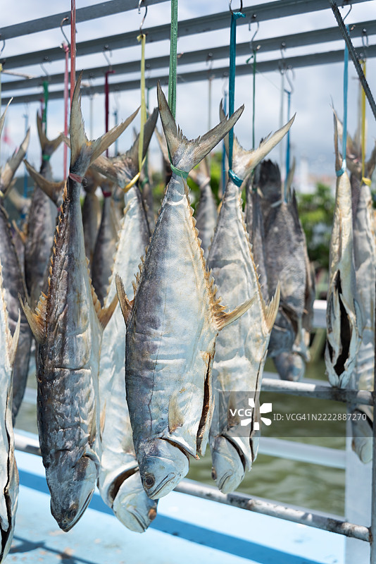 在阳光下晾晒鱼类图片素材