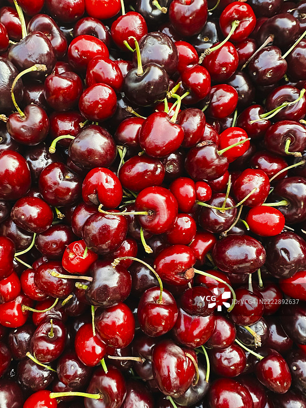 新鲜樱桃堆的全景照片，带有果梗图片素材