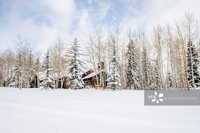 光秃的树木和被雪覆盖的松树间的木屋。地面和树木覆盖着新鲜的雪。蓝天上飘着云朵。图片素材