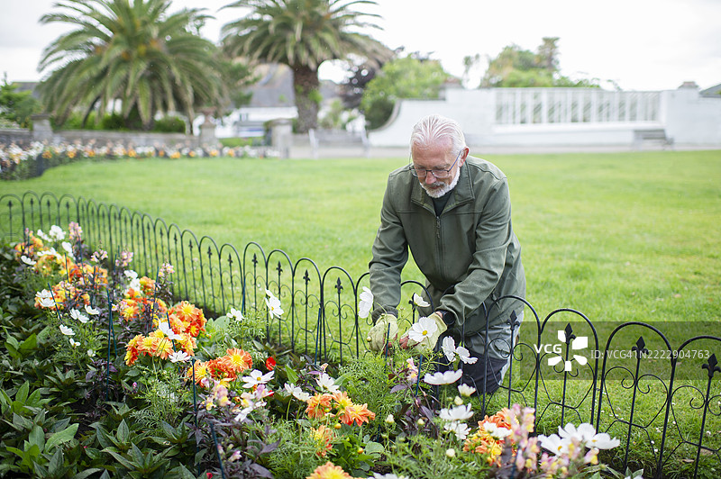 在社区花园工作图片素材