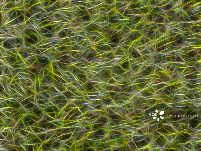 绿色调的抽象背景，交织合成纤维的小毛发细节。图片素材