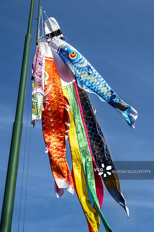 鲤鱼旗或五月旗。传统的日本旗帜。日本花园。阿根廷布宜诺斯艾利斯的巴勒莫。图片素材