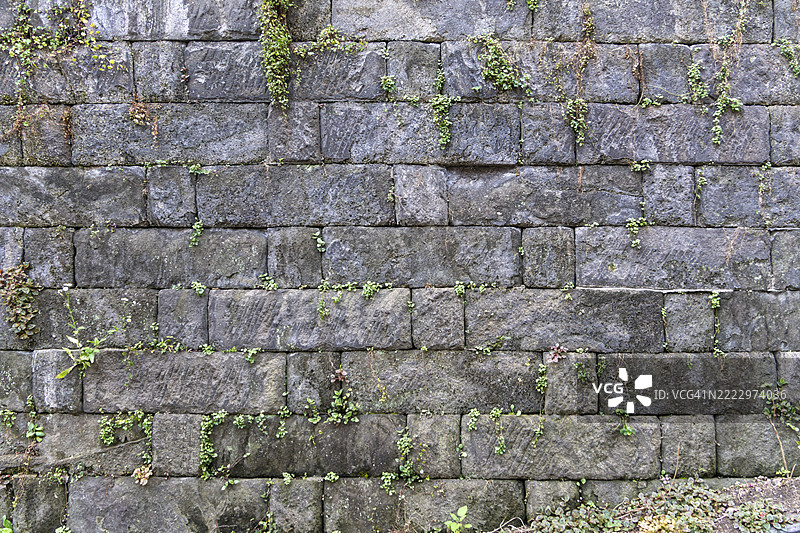 横滨野毛山的古老石质挡土墙与郁郁葱葱的绿植图片素材