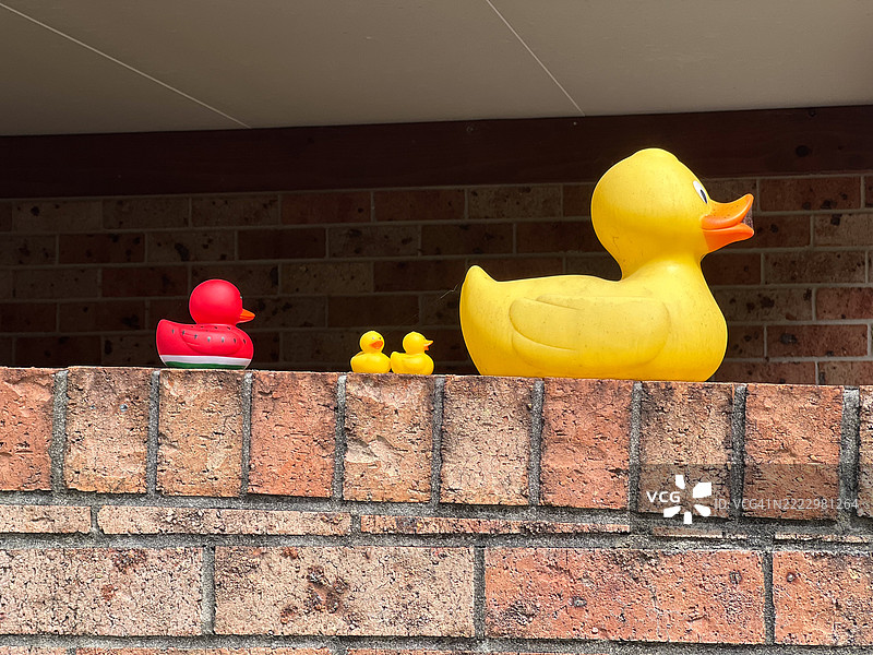 黄色浴室鸭子玩具家庭图片素材