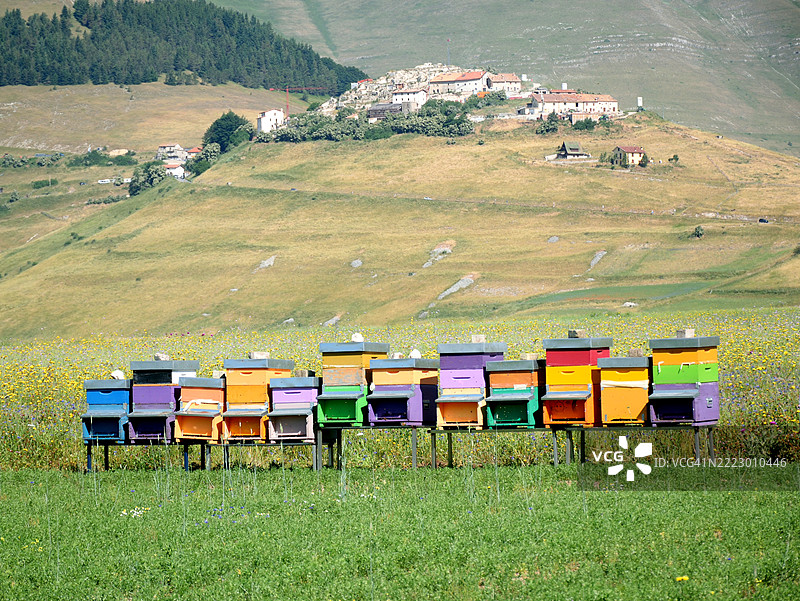 卡斯特卢奇奥平原上的蜂箱图片素材