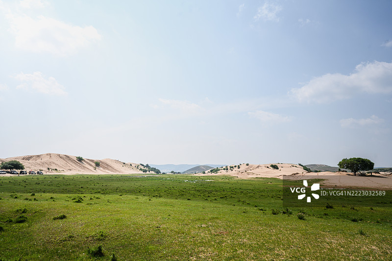 广袤的绿色草原和苍白的沙丘图片素材