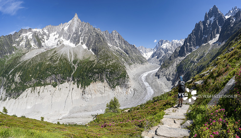如画的山地风光，盛开的高山玫瑰、雄伟的山峰和冰川，登山者在徒步小径上，北阳台，冰海冰川舌，背后是乔拉斯峰，勃朗峰山块，蒙当维尔，霞慕尼，上萨瓦省图片素材