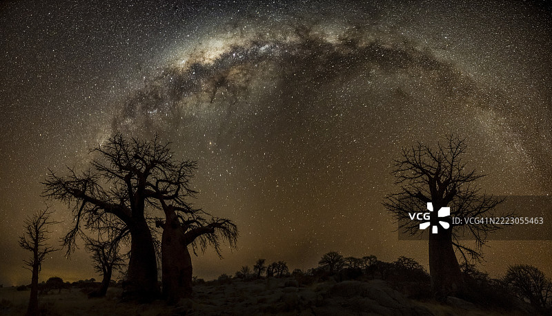几棵猴面包树的剪影，星空和银河，非洲猴面包树（Adansonia digitata），夜间拍摄，库布岛（Lekubu），索瓦潘，马卡迪卡迪盐沼，博茨瓦纳，非洲图片素材
