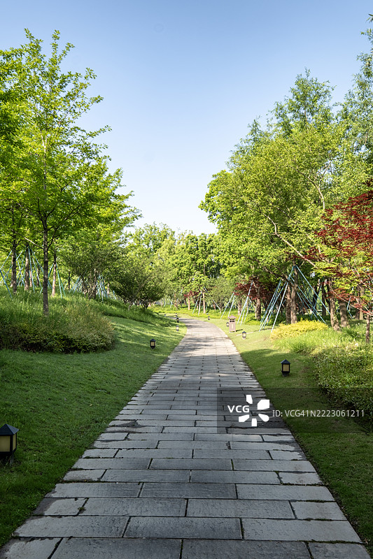 铺设整齐的人行道被混合植被环绕图片素材