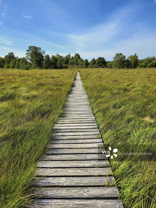 一座木制人行桥穿过绿草如茵的草地,蓝天清澈,夏季,哈伊芬斯,高阿尔卑斯国家公园,穆岑希赫,瓦梅斯,列日,比利时,欧洲图片素材