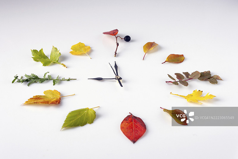 用秋叶代替数字的时钟，黑色指针，侧面视图，选择性对焦图片素材