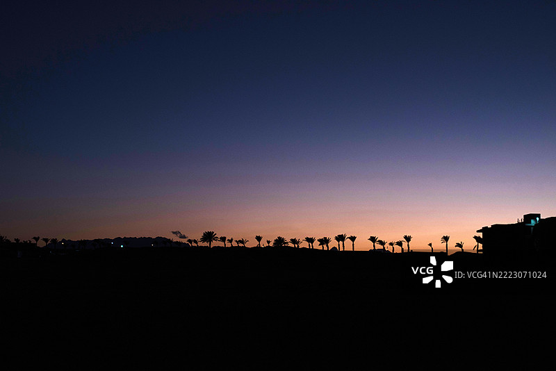 日落时分，黑暗背景下的地平线，棕榈树与渐变色的天空。夜晚的地平线背景。图片素材