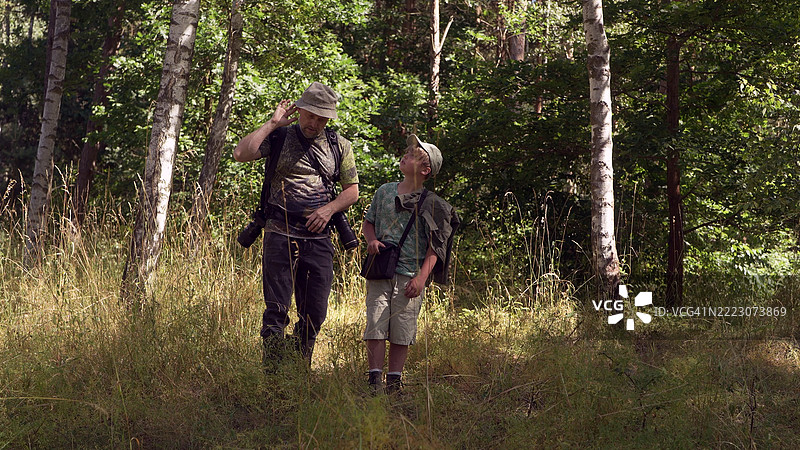 父子一起背包穿越绿意盎然的夏季森林，树木和高草环绕。家庭鸟类观察冒险。鸟类观察图片素材