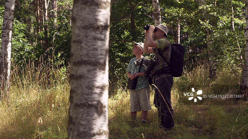父子一起在夏季森林中背包旅行，周围是树木和高草。家庭鸟类观察冒险，正在用望远镜观察鸟类。图片素材