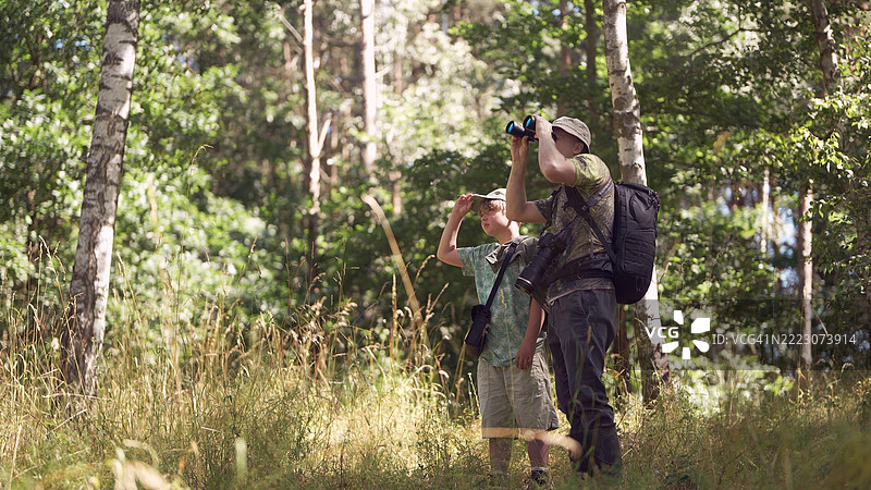 父子在绿树成荫的森林和高草中一起。鸟类观察家庭冒险。通过望远镜观察鸟类。图片素材