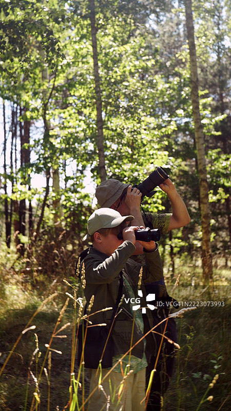 父亲和儿子在夏季森林中共度时光。鸟类观察家庭冒险。通过望远镜观察和拍照。鸟类观察。图片素材