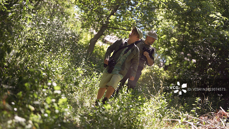 父亲和儿子在夏季的树木和高草丛中的森林里一起。鸟类观察家庭冒险。观鸟图片素材