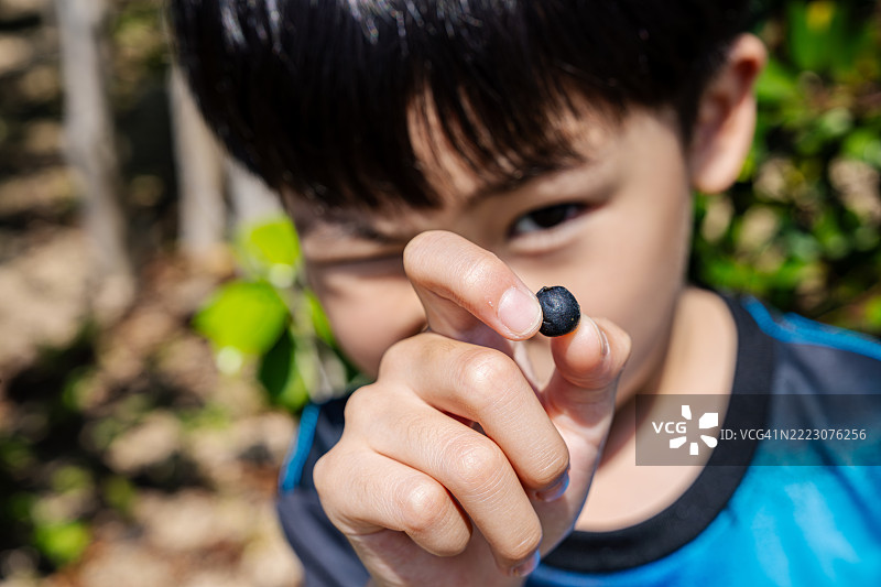 男孩在玩水果图片素材