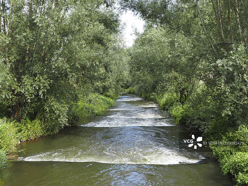 梅斯河上的鱼梯，罗尔蒙德，林堡省，荷兰图片素材