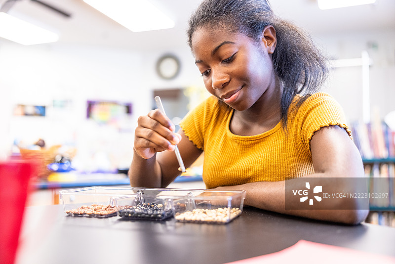年轻的黑人女学生在科学实验室里整理东西图片素材