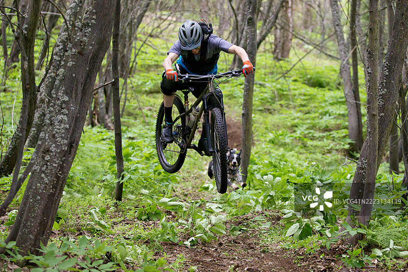 山地自行车与狗骑行图片素材