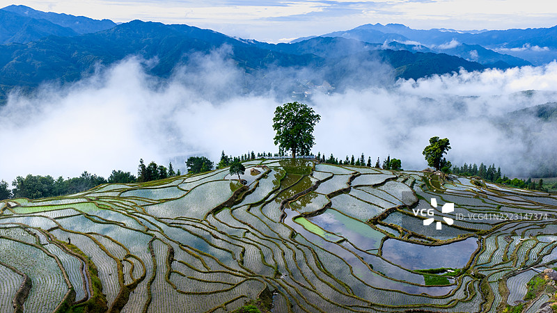 龙胜梯田图片素材