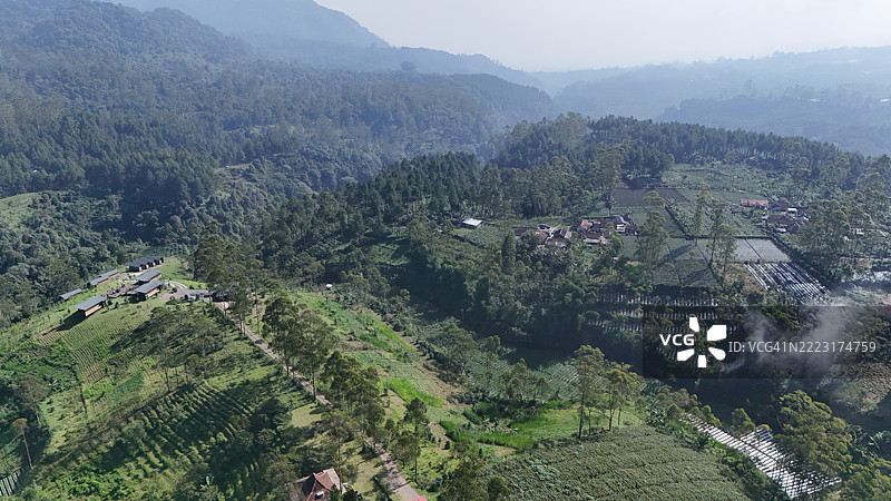 印度尼西亚西爪哇的潘加伦甘茶园的美丽风景。图片素材